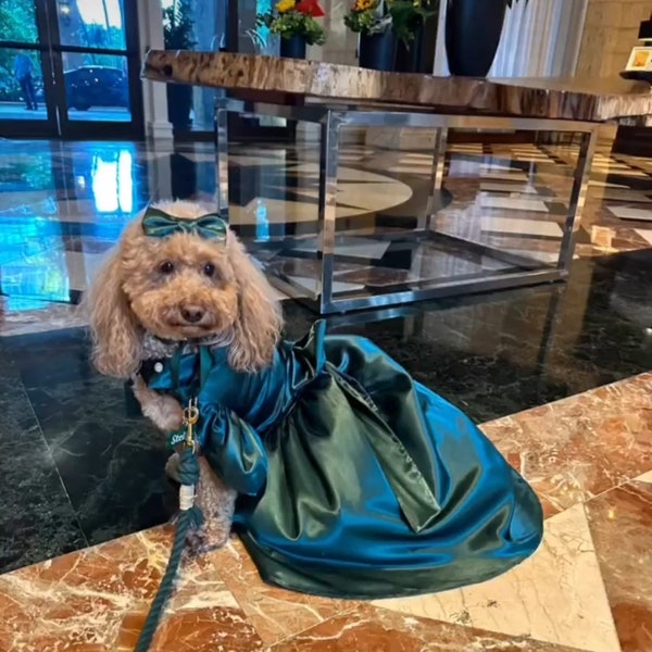 Bridesmaid Dog Dress Etsy