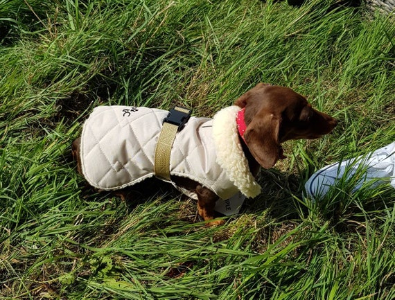 dog walking clothes uk