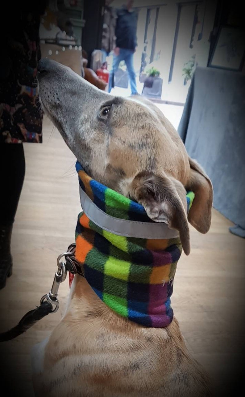 Dog Neck Warmer. Dog Highvisibility Neck Wamer. Dog Fleece Etsy