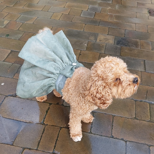 Dogs vine pattern organza tutu, with pearls, for wedding or special occasions. Dog ring bearers outfit. Fully embroidered puffy doggy skirt.
