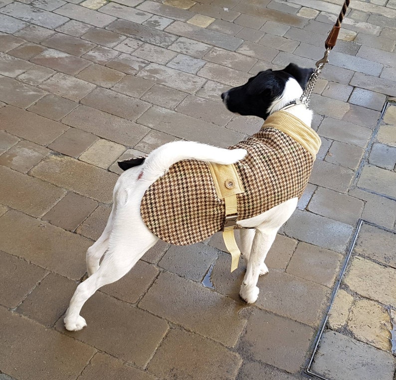 Dog Padded Coat. Dog Waterproof Coat. Dog Walking Jacket. Etsy