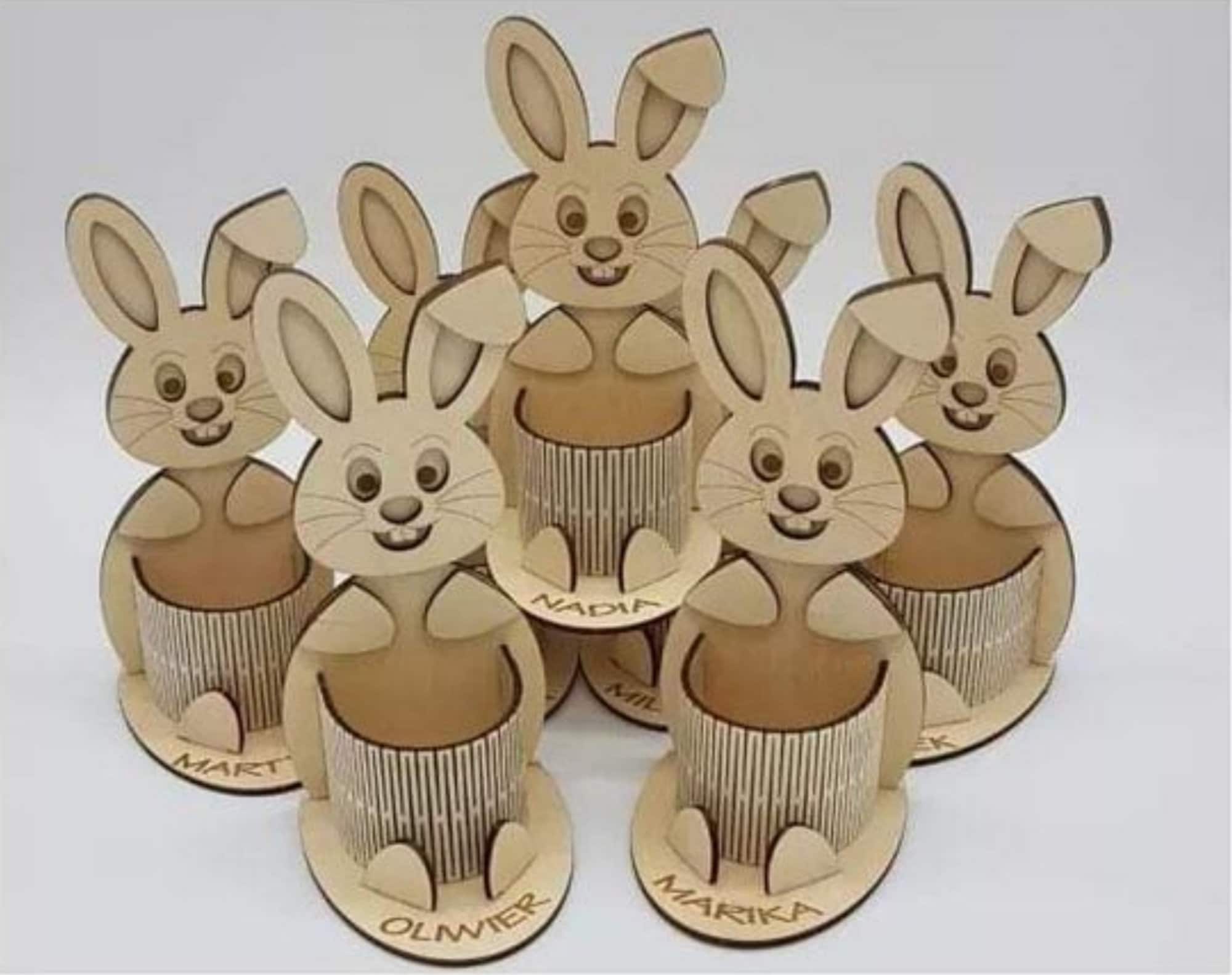 Viet Bunny Files: A Call For Accountability - jl7unih
