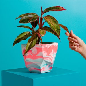 Colourful Plant Pot | Housewarming gift | Gift for Plant Lover