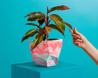 Colourful Plant Pot | Housewarming gift | Gift for Plant Lover