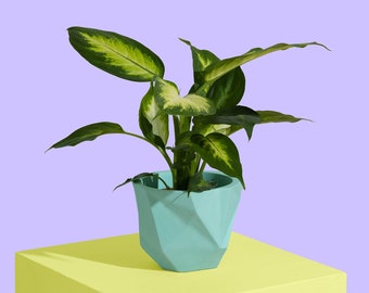 Indoor Plant Pot | Mint Jesmonite Planter