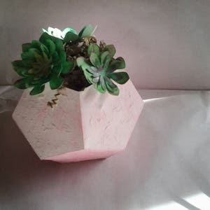 Succulentes artificielles, plantes dans leur pot en forme de dodécaèdre, cadeau image 2