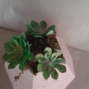 Succulentes artificielles, plantes dans leur pot en forme de dodécaèdre, cadeau image 1