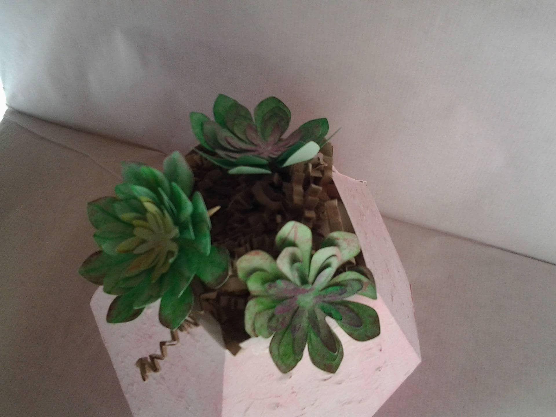 Succulentes Artificielles, Plantes Dans Leur Pot en Forme de Dodécaèdre, Cadeau