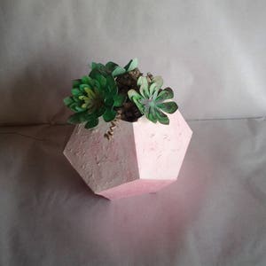 Succulentes artificielles, plantes dans leur pot en forme de dodécaèdre, cadeau image 3