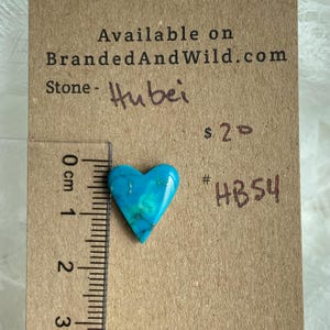 Hubei Turquoise Cabochon - HB54