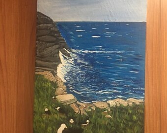Sea Birds at the Shore