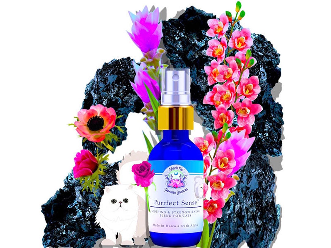 Purrfect Sense™ Feline Essence by Shanti Kai™ Etsy