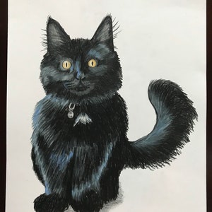 Custom Pet Colored Pencil Portrait 8x10
