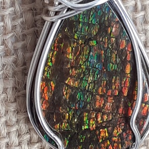 Colorful Canadian gem stone from Alberta display with lots of geens, oranges and golden color. Gem status was granted in 1981 image 2