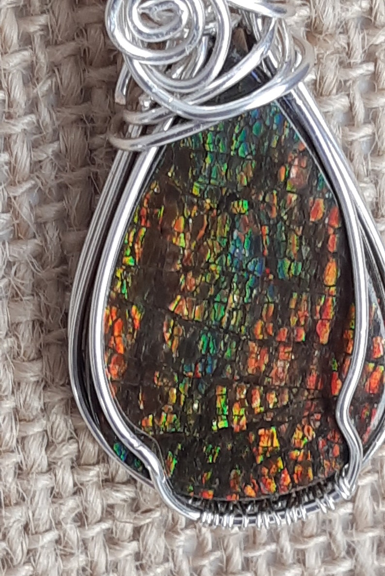 Colorful Canadian gem stone from Alberta display with lots of geens, oranges and golden color. Gem status was granted in 1981 image 2