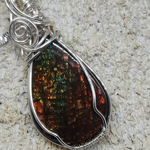 Colorful Canadian gem stone from Alberta display with lots of geens, oranges and golden color. Gem status was granted in 1981 image 5