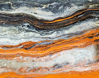Orange Petrified Wood I | color photograph, fine art, wall art print, wall decor, petrified wood, rock photo, geology art, nature abstract