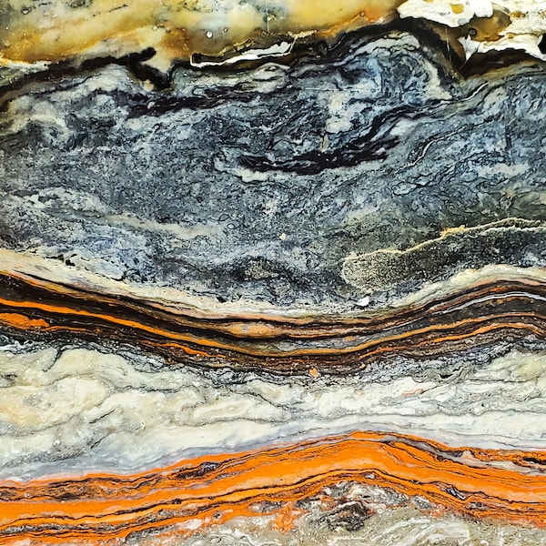 Orange Petrified Wood II -- color photograph, fine art, wall art print, wall decor, petrified wood, rock photo, geology art, nature abstract