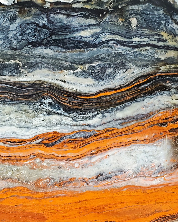 Orange Petrified Wood I | Color Photograph, Fine Art, Wall Art