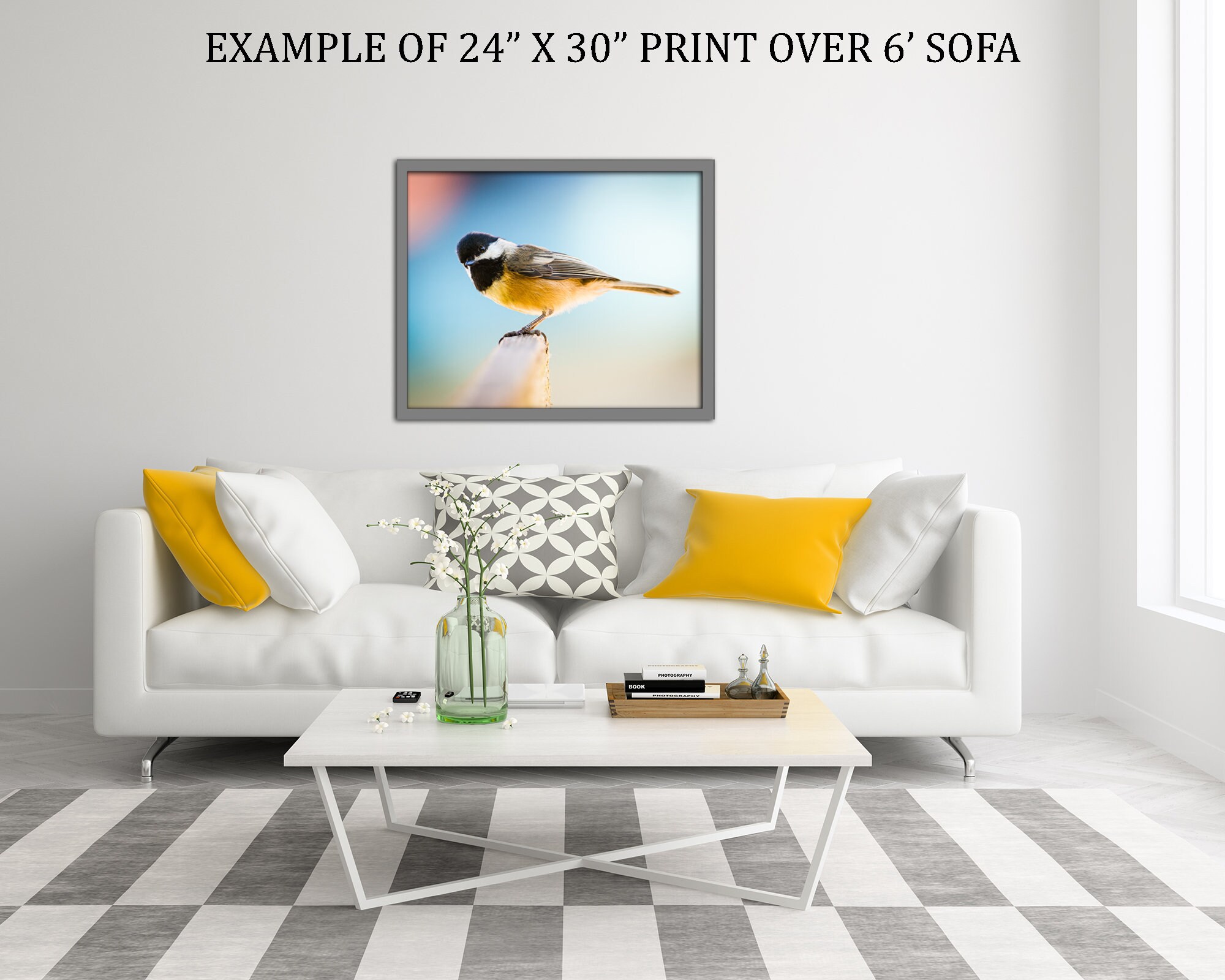 Black-capped Chickadee | Color Photograph, Fine Art, Wall Art Print ...