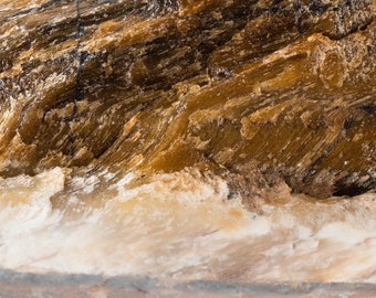 Petrified Wood | color photograph, fine art, wall art print, wall decor, mineral photograph, rock photograph, geology art, nature abstract