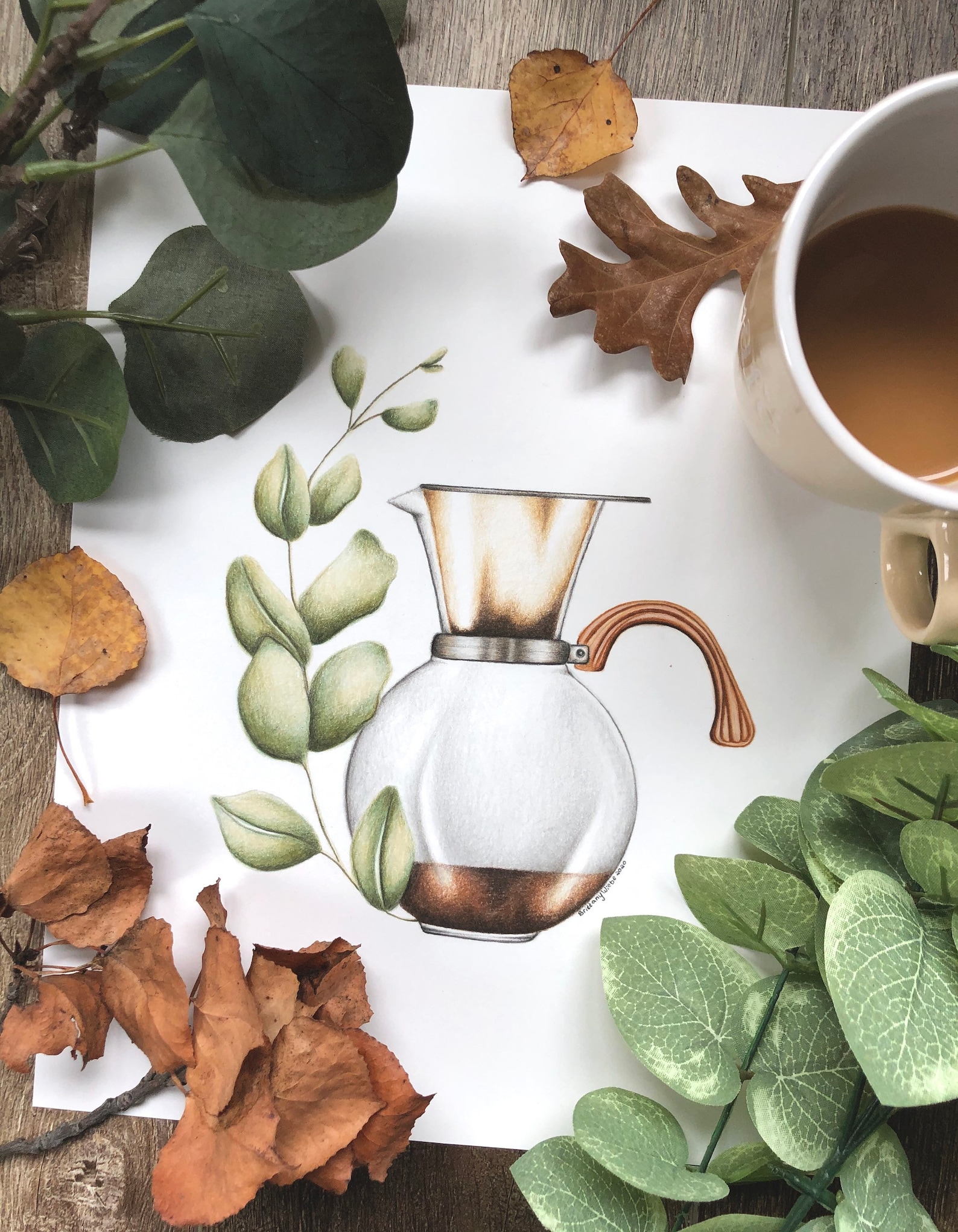 Coffee Art Coffee Art Print Plant Art Print Plant Art Etsy Canada