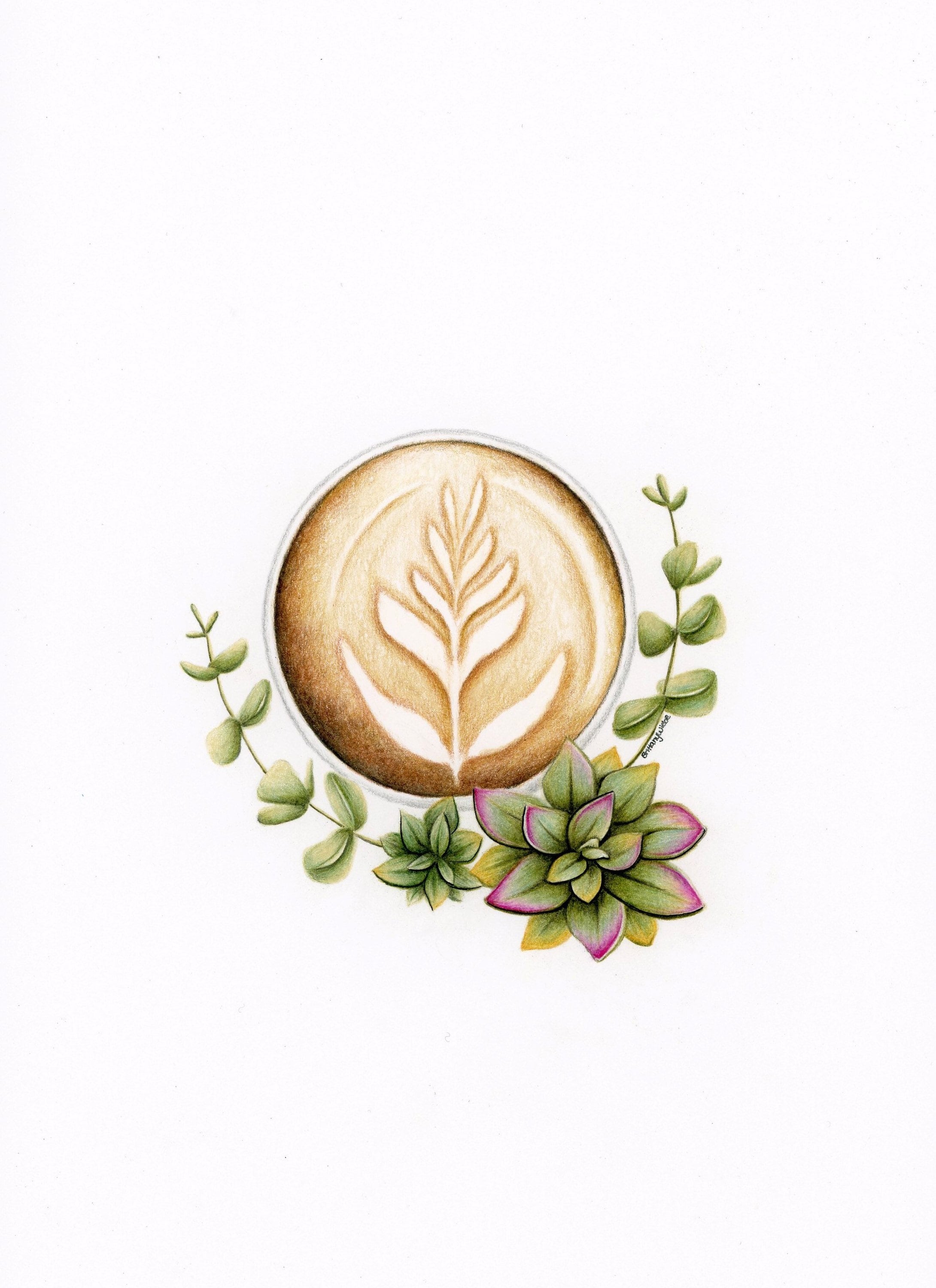 Coffee Plant Art Print Coffee Art Print Plant Art Print Etsy Canada