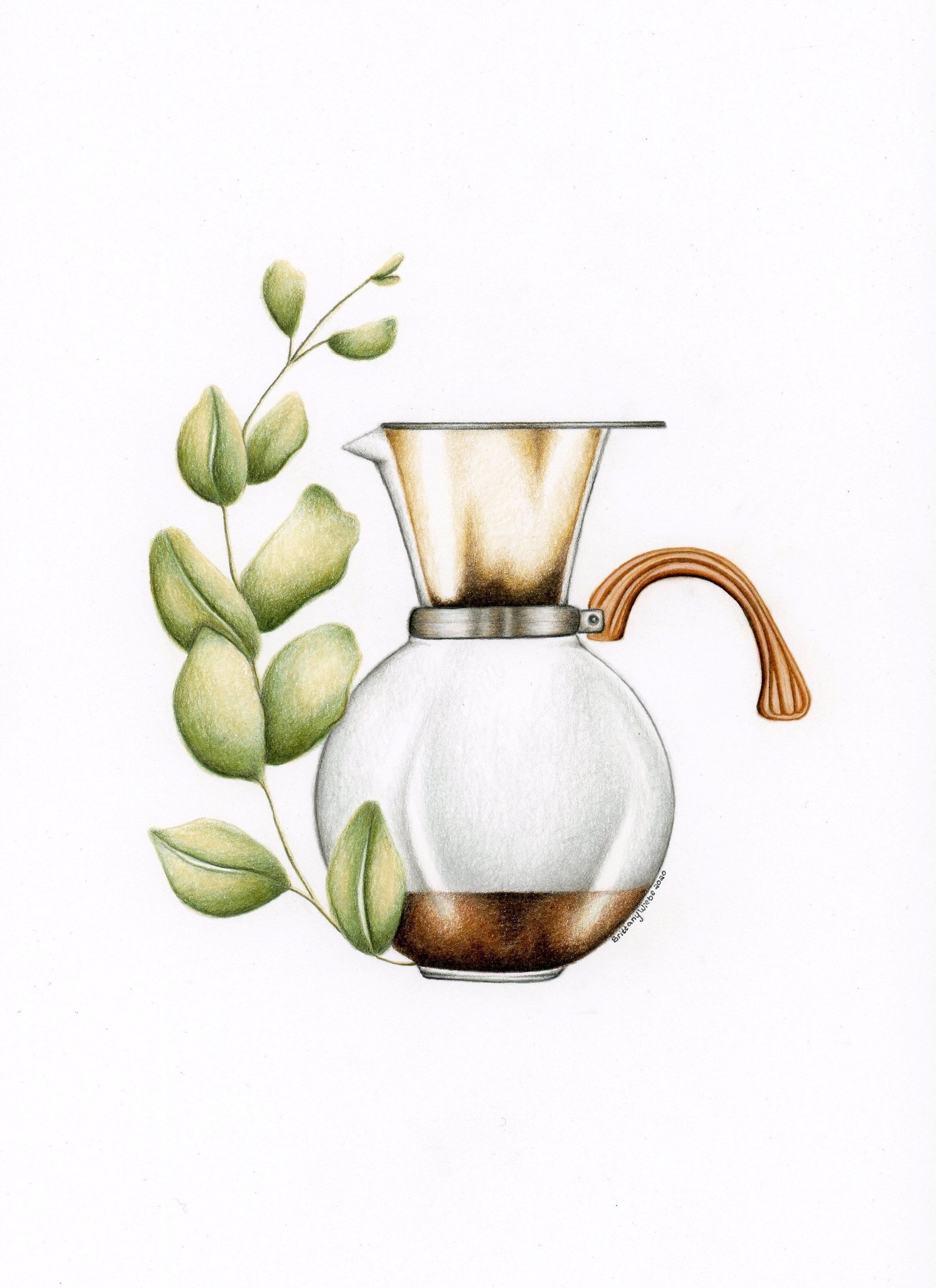 Coffee Art Coffee Art Print Plant Art Print Plant Art Etsy Canada