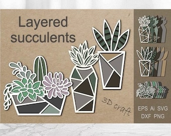 May include: Layered succulent plant designs for 3D craft projects. The image shows three different succulent arrangements in pots, with the text "Layered succulents" and "3D craft" on the brown background.