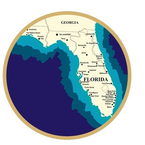 6 Layer 3D Florida Map Multi - Il 300x300.6050107649 Qkok 