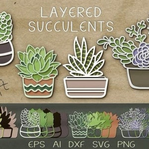 Suculentas en capas. Artesanía 3D