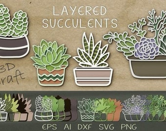 Layered Succulents. 3D Craft