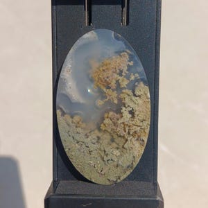 Java Moss Agate Cabochon Scenic Multicolor. MA.32