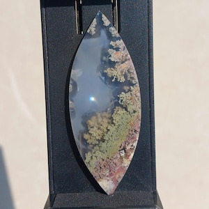 Agata muschiata di Giava, cabochon multicolore, 52,19 × 20,19 x 3,9 mm. MA.35