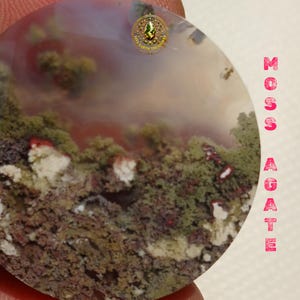 Puede incluir: Una piedra preciosa de ágata musgosa circular con áreas translúcidas e inclusiones opacas en tonos verde, marrón y blanco. La piedra muestra un patrón orgánico texturizado. El texto MOSS AGATE está impreso en rosa en el lado derecho.