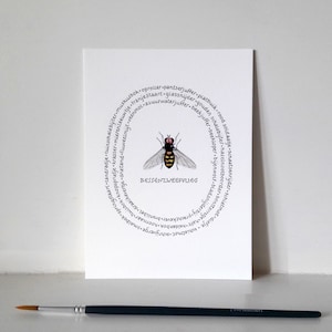 insect print,painted insect,zweefvlieg,calligraphy,hoverfly,watercolor illustration,Joke Boudens,wall art,entomology,aquarelle print,art