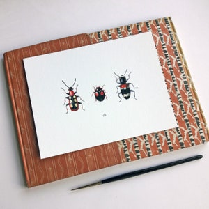 beetles print,watercolor painting,entomology art,beetles trio,red,beetle illustration,fauna,aquarelle,fine art print,tinyart,tinyartprint