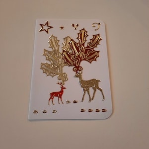 Carte Noel avec 2 rennes et branche de sapin et de gui de Noel