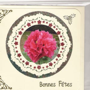 Carte Bonnes Fêtes avec oeillet sur une rosace avec paillette