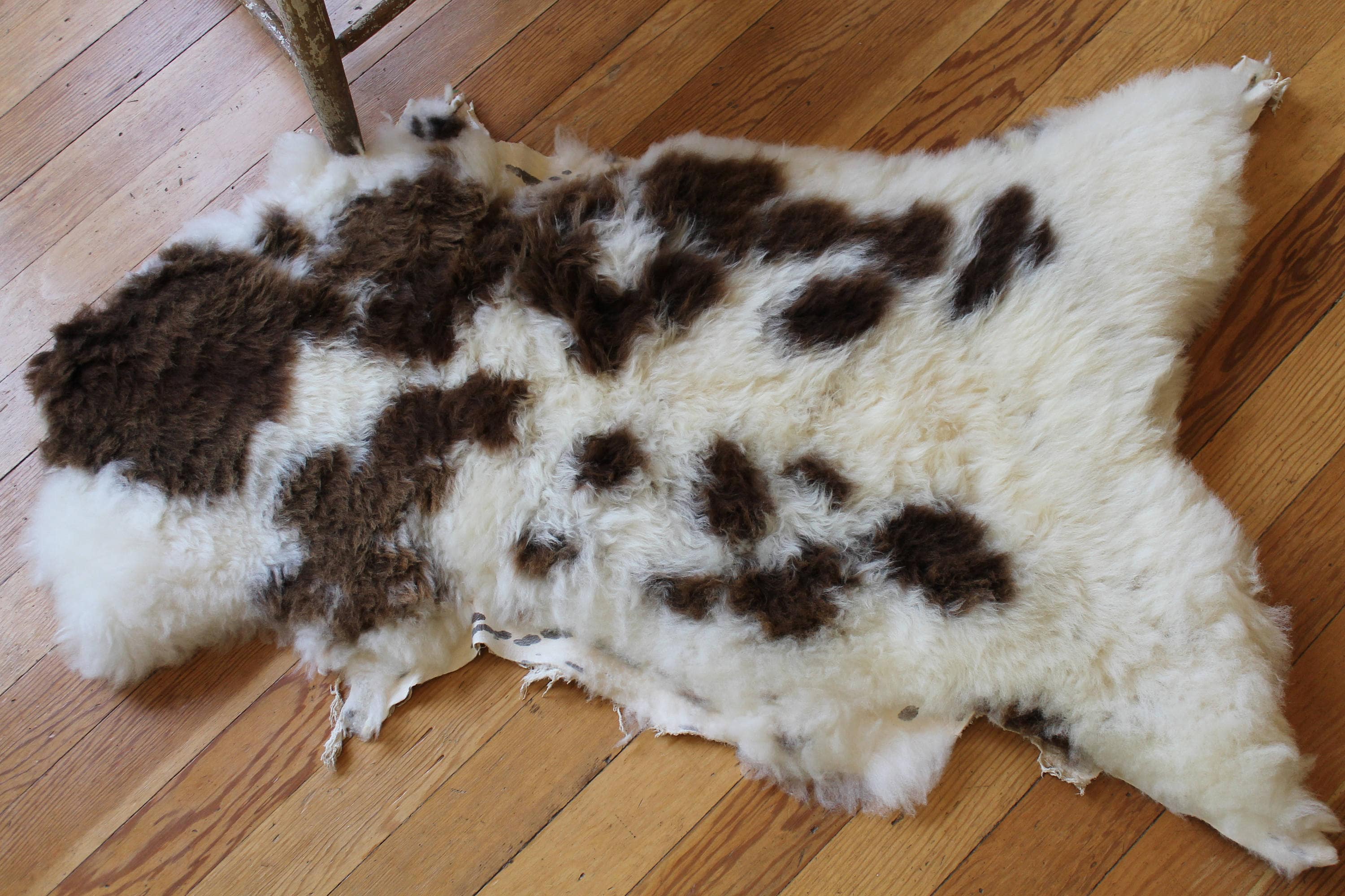 Piel de oveja curtida 100 pastos Etsy