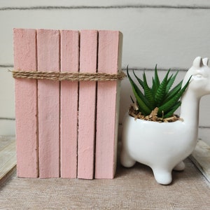 Pila di libri tascabili Shabby Chic / Decorazione per libreria dipinta di rosa / Bundle di oggetti riciclati non rilegati Farmhouse / Esposizione minimalista decorativa pastello