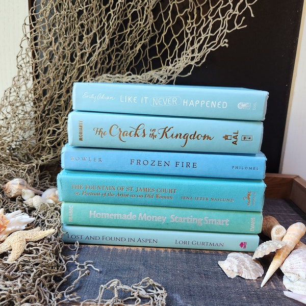 Discounted Ocean Inspired Decorative Books | Bookshelf Display Ideas | Beachy Staging Decor | Blue Seaside Theme | Hardbacks For Airbnb