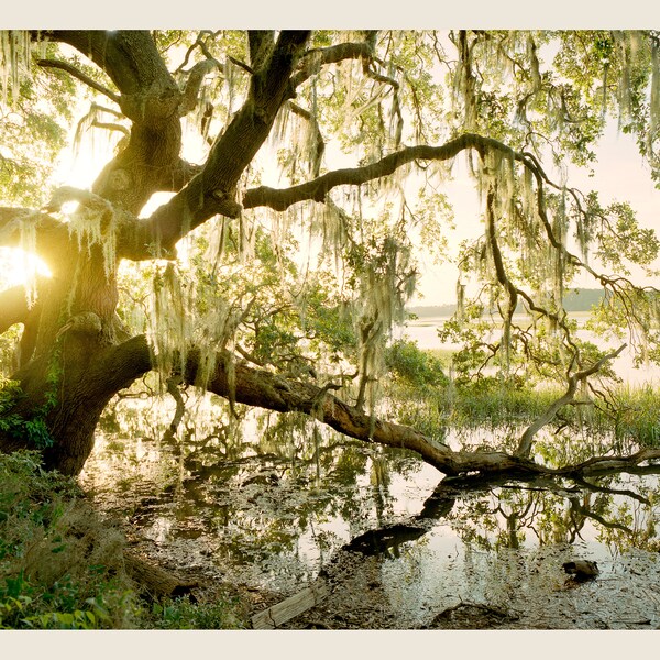 Country Photography Etsy