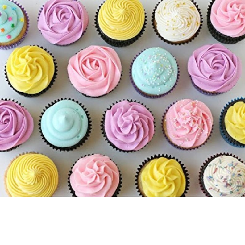 24 Piece Cake Decoration Icing Tips Set Cake Decorating Kits,Cakes Cupcakes Professional Stainless Steel Icing Tip Set