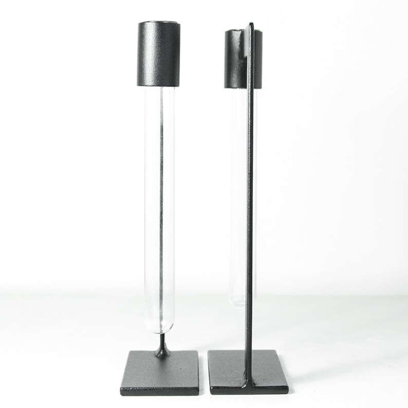 Test Tube Vase Set of 2 Glass Vase Wedding Decor Flower Etsy