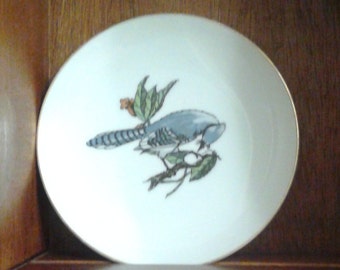 Decorative Vintage Plate with Hand Painted Blue Jay, Collectible White Porcelain Bird Plate by Neiman Marcus, Snack Size Salad Plate