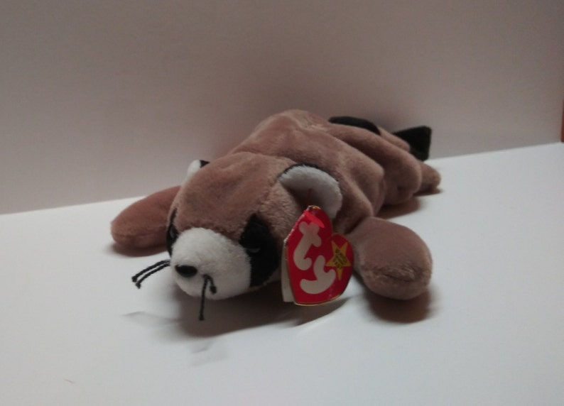 ringo the raccoon beanie baby
