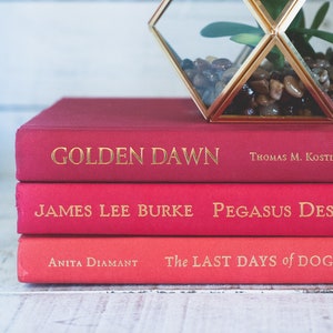 Modern Red Books for Interior Decorating or Home Staging, REAL Books by Color, Red Book Bundle, Curated Bookshelf Styling, Red Home Decor