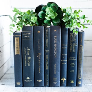 Black Book Stack: Modern Home Decor Books by Color image 2