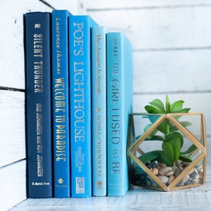 Blue Books, Nautical or Coastal Blue Book Stack, Coastal Home Decor, Beachy Interior Decorating or Home Staging Books, Beach House Decor